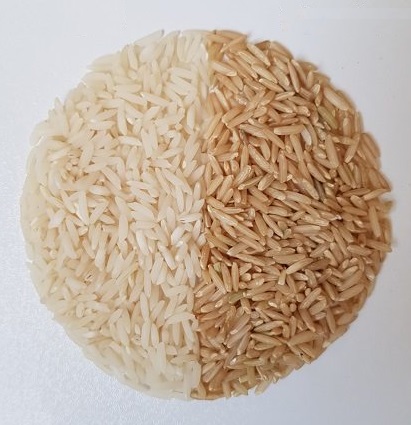 Rice exporter in Iran, Rice supplier in Iran, Rice Company in Iran, Rice producer in Iran, exporter of Rice in Iran
